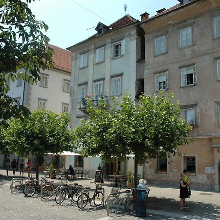 Vitez Apartment II Lublana Zewnętrze zdjęcie