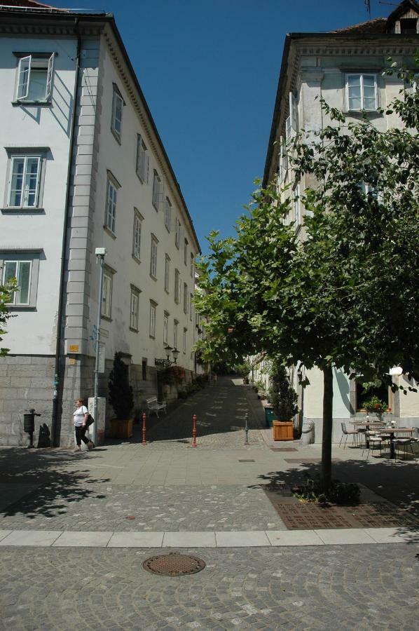 Vitez Apartment II Lublana Zewnętrze zdjęcie